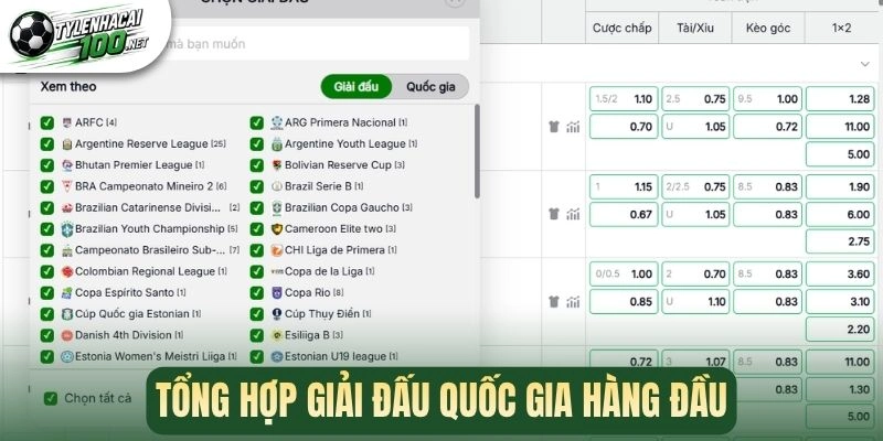 Tỷ Lệ Kèo Nhà Cái - Cập Nhật Kèo Bóng Đá Chuẩn Xác Hàng Ngày 402 Tổng hợp giải đấu quốc gia hàng đầu