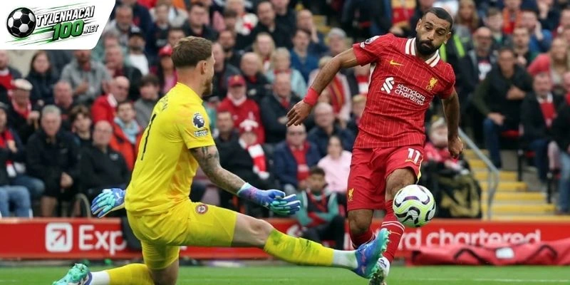 Chuyên gia nhận định odds Brentford vs Liverpool