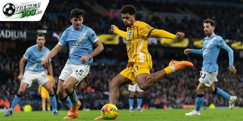 Kèo Nhà Cái Man City Vs Brighton, NHA - 31/10/2026 6 Gợi ý điểm đầu tư sinh lời trước giờ bóng lăn