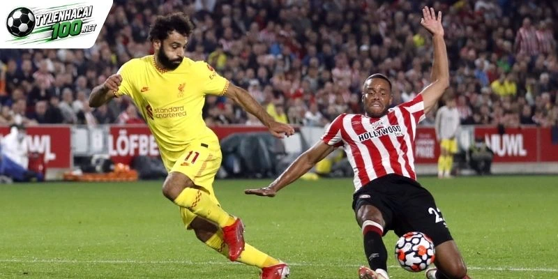 Thông tin chung về giải Brentford vs Liverpool